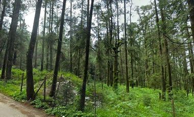 Terreno campestre en venta, en Pueblo Nuevo, municipio Mineral del Monte, Hidalg