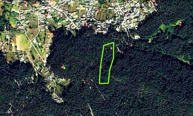 Terreno campestre en venta, en Pueblo Nuevo, municipio Mineral del Monte, Hidalg