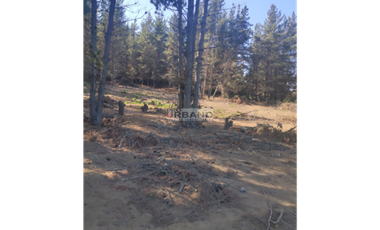 Terreno esquina en excelente ubicación de Los Pinos