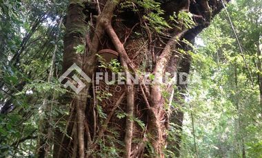 Parcela en Venta en Ruta W850, camino a Cucao km 14