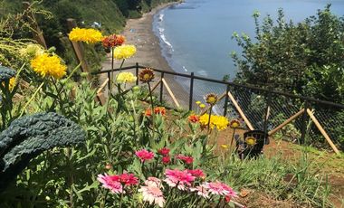 HERMOSA CASA EN NIEBLA CON VISTA