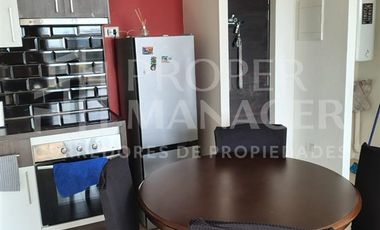 Departamento en Arriendo en Habitación en Depto Mariposa con Baño Privado – Ainavillo 970, Concepción