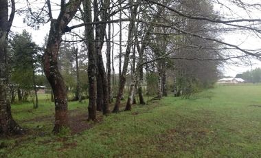 Paraíso 1 casa + 2 cabañas