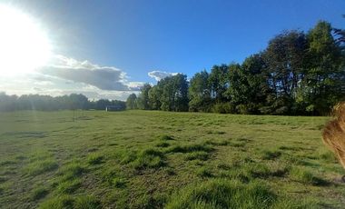 Paraíso 1 casa + 2 cabañas