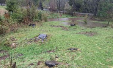 Paraíso 1 casa + 2 cabañas