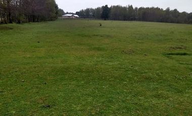 Paraíso 1 casa + 2 cabañas