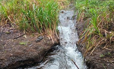 Paraíso 1 casa + 2 cabañas