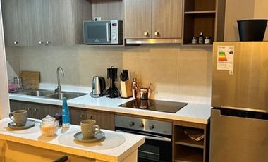 Hermoso Departamento Arriendo año corrido.