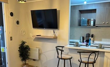 Hermoso Departamento Arriendo año corrido.
