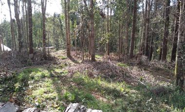 5.020 m² de naturaleza, privacidad y plusvalía