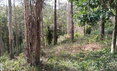 5.020 m² de naturaleza, privacidad y plusvalía