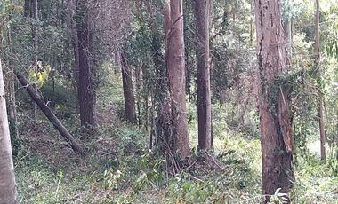 5.020 m² de naturaleza, privacidad y plusvalía