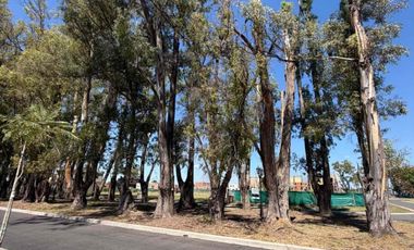 VENTA DE LOTE 482m2  EN BARRIO SANTA SOFIA-PILAR DEL ESTE