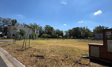 VENTA DE LOTE 482m2  EN BARRIO SANTA SOFIA-PILAR DEL ESTE