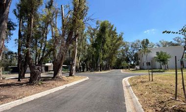 VENTA DE LOTE 482m2  EN BARRIO SANTA SOFIA-PILAR DEL ESTE