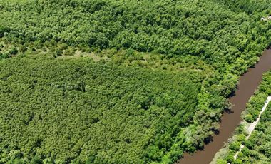 OPORTUNIDAD DE INVERSIÓN – 8 HECTÁREAS SOBRE EL RIO LUJAN EN ESCOBAR