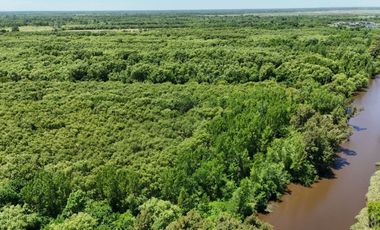 OPORTUNIDAD DE INVERSIÓN – 8 HECTÁREAS SOBRE EL RIO LUJAN EN ESCOBAR