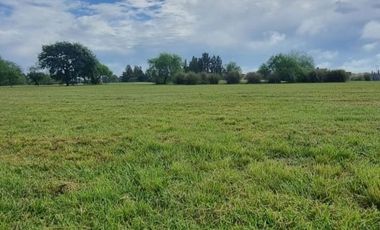 Venta lote Medal Country Club Golf Pilar