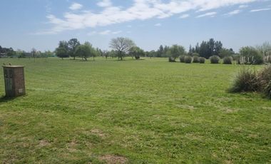 Venta lote Medal Country Club Golf Pilar