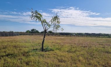 VENTA LOTE 1922m2 en LAGUNA - Estancias del Pilar