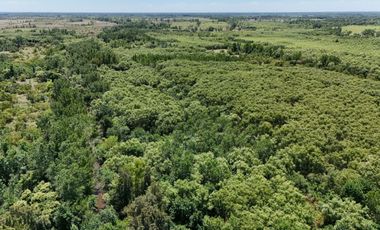 OPORTUNIDAD DE INVERSIÓN – 4 HECTÁREAS SOBRE EL RÍO LUJÁN EN ESCOBAR