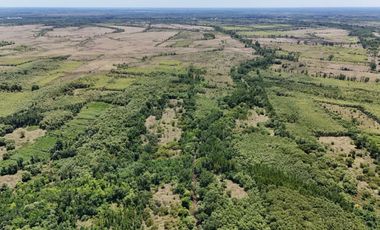 OPORTUNIDAD DE INVERSIÓN – 4 HECTÁREAS SOBRE EL RÍO LUJÁN EN ESCOBAR