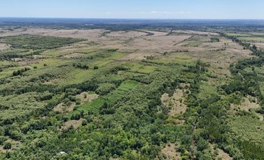 OPORTUNIDAD DE INVERSIÓN – 4 HECTÁREAS SOBRE EL RÍO LUJÁN EN ESCOBAR