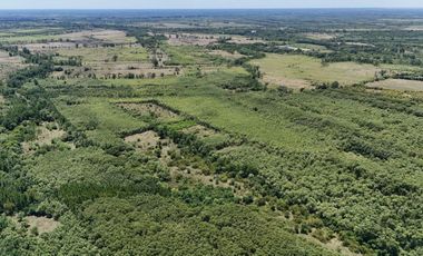 OPORTUNIDAD DE INVERSIÓN – 4 HECTÁREAS SOBRE EL RÍO LUJÁN EN ESCOBAR