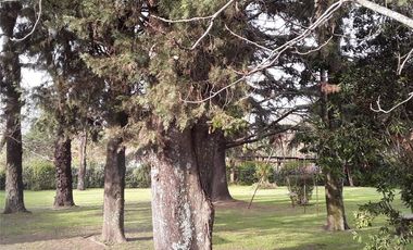 QUINTA CON DOS CASAS, PILETA Y AÑOSA ARBOLEDA