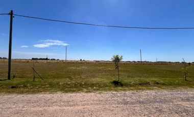 Campos La Enriqueta – Lote N° 188