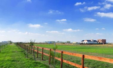 Campos La Enriqueta – Lote N° 188