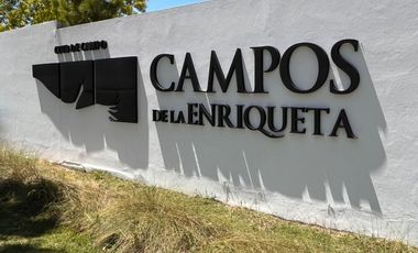 Campos La Enriqueta – Lote N° 188
