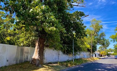 VENTA LOTE LANUS 3000m2 TERRENO CON ARBOLES, SOLIDO MURO Y PORTON