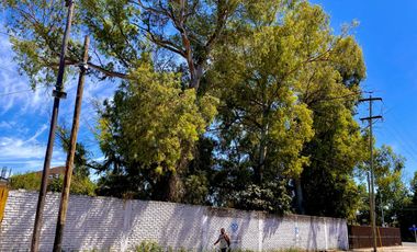 VENTA LOTE LANUS 3000m2 TERRENO CON ARBOLES, SOLIDO MURO Y PORTON