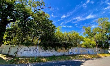 VENTA LOTE LANUS 3000m2 TERRENO CON ARBOLES, SOLIDO MURO Y PORTON