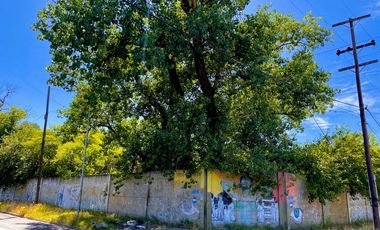 VENTA LOTE LANUS 3000m2 TERRENO CON ARBOLES, SOLIDO MURO Y PORTON