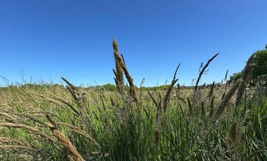 Venta de lote interno en Chacras de San Pablo