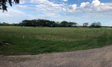 Venta de lote interno en Chacras de San Pablo