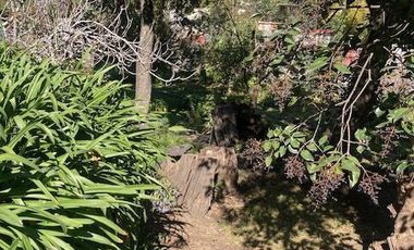 Se venden 2 propiedades juntas en Cruz Verde Magdalena Contreras