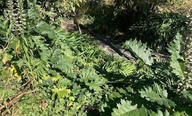 Se venden 2 propiedades juntas en Cruz Verde Magdalena Contreras