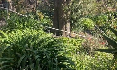 Se venden 2 propiedades juntas en Cruz Verde Magdalena Contreras