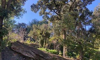 Se venden 2 propiedades juntas en Cruz Verde Magdalena Contreras