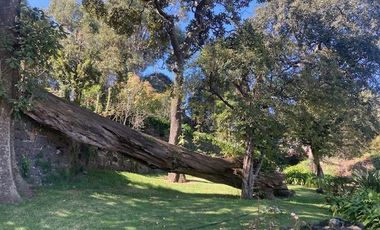 Se venden 2 propiedades juntas en Cruz Verde Magdalena Contreras