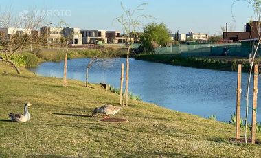 CASA EN VENTA- ALQUILER - LAGUNA- EN EL CANTON - MAROTO PROPIEDADES