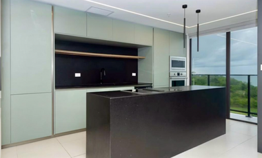 Se Vende Penthouse en Punta Caelo