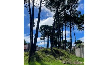 Lote en venta en Pinamar. Oportunidad!