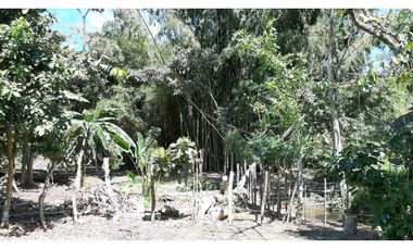 VENDO Seis Hectareas Sortova