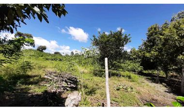 VENDO Seis Hectareas Sortova