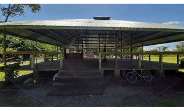 VENDO Seis Hectareas Sortova