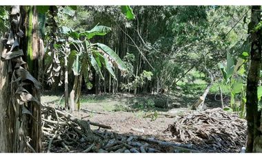 VENDO Seis Hectareas Sortova